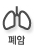 폐암