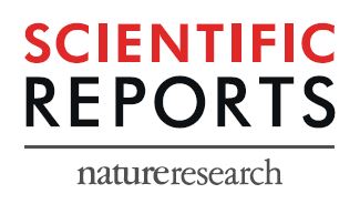 Serum neurofilament light chain levels as a biomarker of neuroaxonal injury and severity of oxaliplatin-induced peripheral neuropathy