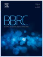 Blockade of endothelin receptor A enhances the therapeutic efficacy of gemcitabine in pancreatic cancer cells