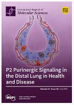 Transglutaminase 2-Mediated p53 Depletion Promotes Angiogenesis by Increasing HIF-1α-p300 Binding in Renal Cell Carcinoma