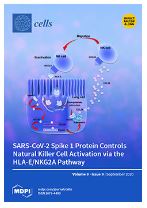 Targeting Oxidative Phosphorylation Reverses Drug Resistance in Cancer Cells by Blocking Autophagy Recycling