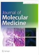 Targeting X chromosome-linked inhibitor of apoptosis protein in mucoepidermoid carcinoma of the head and neck: A novel therapeutic strategy using nitidine chloride