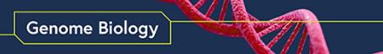 Transcriptional regulatory networks of tumor-associated macrophages that drive malignancy in mesenchymal glioblastoma