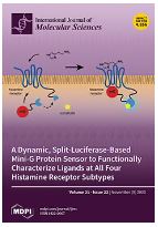 Pygenic Acid A (PA) Sensitizes Matastatic Breast Cancer Cells to Anoikis and Inhibits Metastasis In Vivo