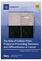 Molecular Signature of Extracellular Vesicular Small Non-Coding RNAs Derived from Cerebrospinal Fluid of Leptomeningeal Metastasis Patients: Functional Implication of miR-21 and Other Small RNAs in Cancer Malignancy