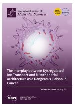 KRAS, A Prime Mediator in Pancreatic Lipid Synthesis through Extra Mitochondrial Glutamine and Citrate Metabolism