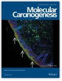 IL-6 and IL-8, secreted by myofibroblasts in the tumor microenvironment, activate HES1 to expand the cancer stem cell population in early colorectal tumor