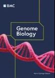 GxEsum: a novel approach to estimate the phenotypic variance explained by genome-wide GxE interaction based on GWAS summary statistics for biobank-scale data