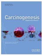 Night shift work and breast cancer risk: a meta-analysis of observational epidemiological studies