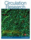 FAK Activation Promotes SMC Dedifferentiation via Increased DNA Methylation in Contractile Genes.