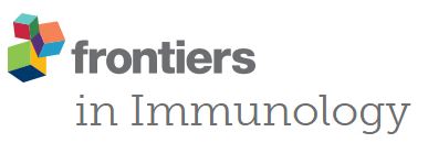 Potentiating the Antitumor Activity of Cytotoxic T Cells via the Transmembrane Domain of IGSF4 That Increases TCR Avidity