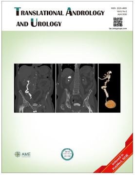 Retroperitoneal single-site robot-assisted partial nephrectomy
using Lapsingle Vision advanced access platform: initial three
case reports
