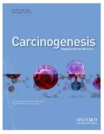 Coffee consumption and its interaction with the genetic variant AhR rs2066853 in colorectal cancer risk: a case-control study in Korea