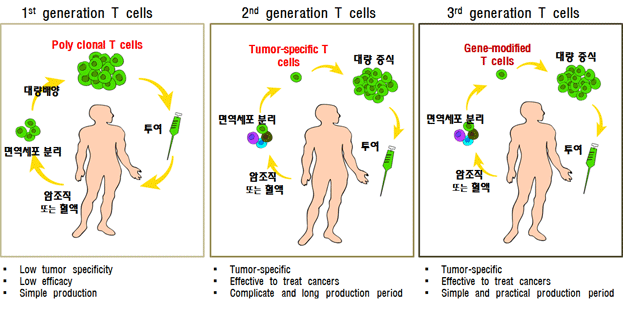 1st generation T cells - 2nd generation T cells - 3rd generation T cells