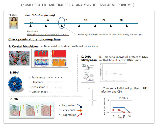 SMALL SCALED - AND TIME SERIAL ANALYSIS OF CERVICAL MICROBIOME
