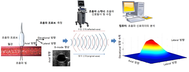 초음파진단기술을 활용한 생체유동측정에 관한 연구 프로세스 - 초음파 프로브:측정→초음파 스캐너:초음파 신호박사 및 수집→컴퓨터:초음파 신호데이터 분석