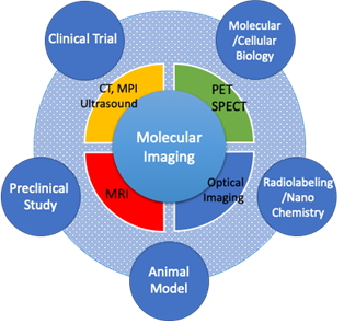 Molecular Imaging → CT, MPR, Ultrasound/PET SPECT/Optical Imaging/MRI → Clinical Trial/Molecular,Cellular Biology/Radiolabeling,Nano Chemisty/Animal Model/Preclinical Study/Clinical Trial 