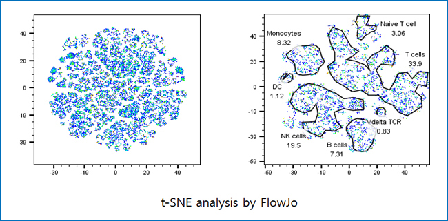 t-SNE analysis by FlowJo