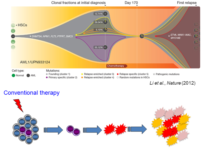 종양줄기세포를 이용한 기존 항암치료에 대한 저항성 유발기전 연구 및 분자 스위치 동정