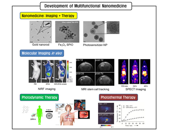 Development of Multifunction nanomedicine, Nanomedicine:Imaging+Therapy-Goldnanorod, Fe₃O₄SPIO,Photosensitizer-NP, Molecular Imaging in vivo-NIRF imaging,MRI stem cell tracking,SPECT Imaging, Photodynamic Therapy, Photothermal Therapy