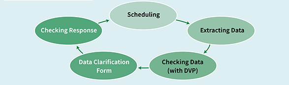 Scheduling -> Extracting Data -> Checking Data(with DVP) -> Data Clarification Form -> Checking Response 순환