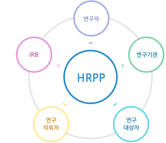 HRPP - 연구자 - 연구기관 -연구대상자 - 연구의뢰자 - IRB/